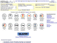 Tablet Screenshot of microbesonline.org